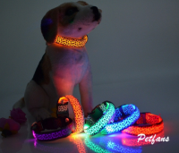 LED Hundehalsband